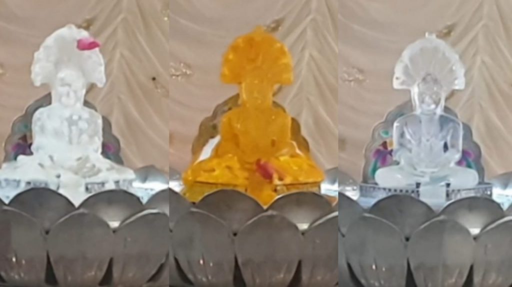 भगवान पार्श्वनाथ स्वामी का पहली बार अष्ट द्रव्य से पूजन और पंचामृत अभिषेक